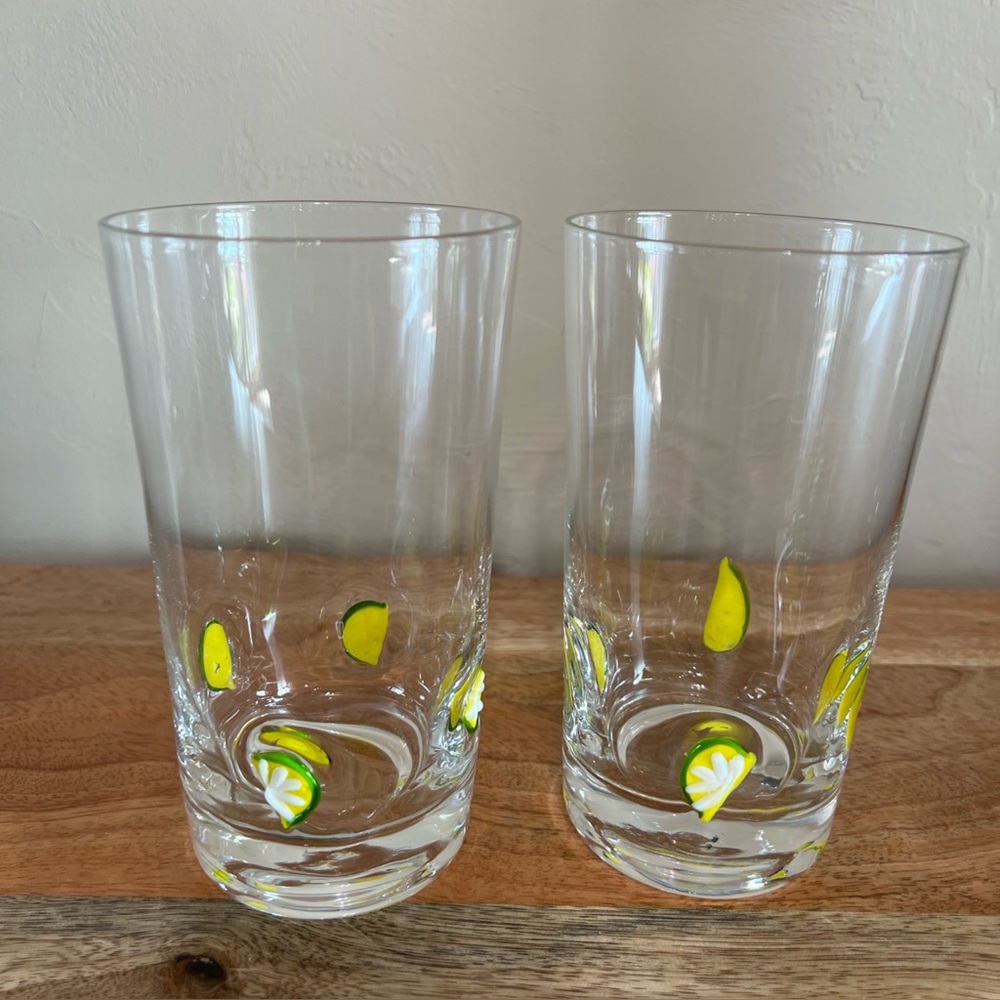 Anthropologie Lime Slices Infused Design Glass Tumblers - Set of 2